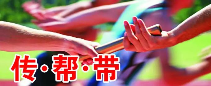 implementarea sistemului de management al mentorat.